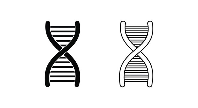 Dna double helix illustration two representations of genetic structure