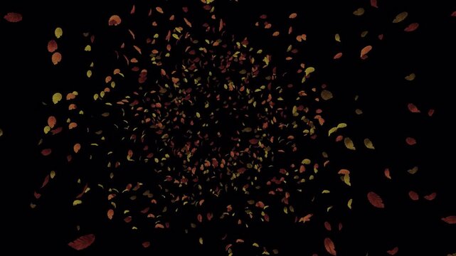 Leaves swirl, alpha transparent background quicktime