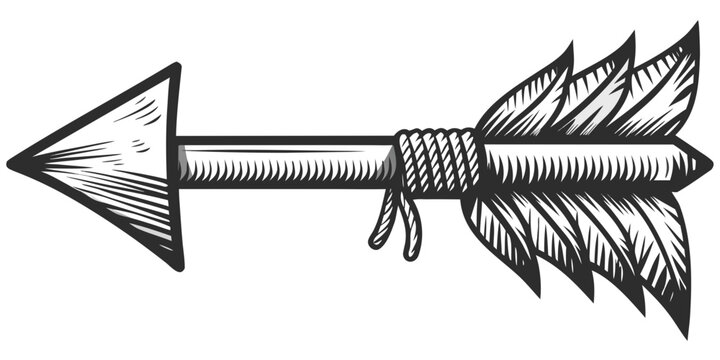 Vintage arrow sketch with feathers black and white illustration