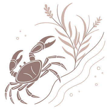 Ghost Crab Vector Illustration Beach Sand Crustacean Marine Life Ocean Animal Art