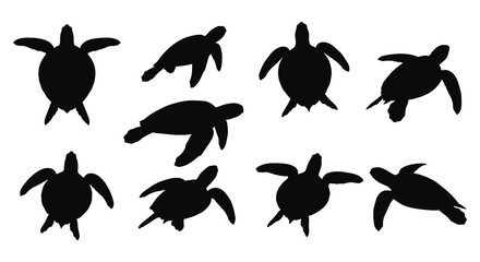 Collection of black turtle silhouettes in various poses isolated on white background silhouette high quality professional