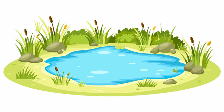 Cartoon pond with green grass and rocks isolated on white