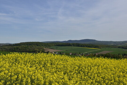 Ausblick vom Berg mit Rapsfeld zwischen Hildesheim und Hameln