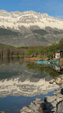 Springtime landscape with green forest, snowy mountains, and calm lake
