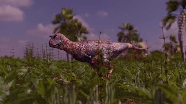 4k 3d animation of Carnotaurus dinosaur strides through a dense prehistoric jungle of ferns and palm trees.