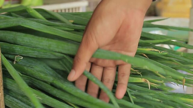 Fresh green onions or scallions at the traditional market