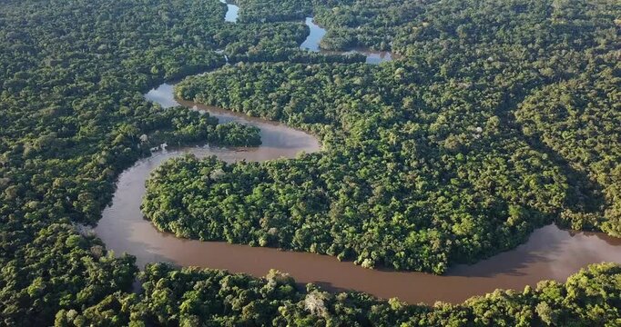 Drone tilt up revealing Amazon rainforest river at sunset with static hover aerial shot Peru