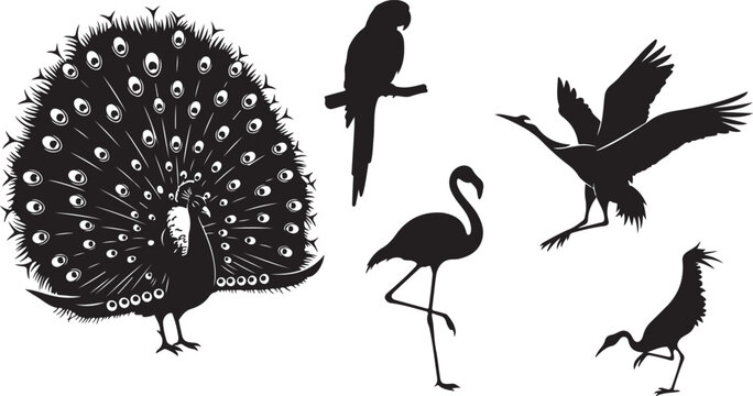 Black and white of four different bird species perched on branches birds perched birds ornithology d