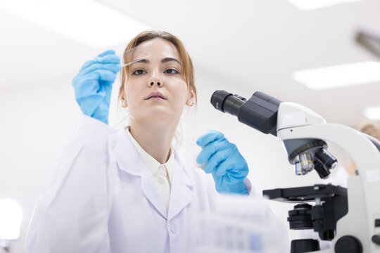 Caucasian scientist looking at the microscope slide