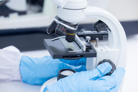Scientist looking through a microscope in a laboratory