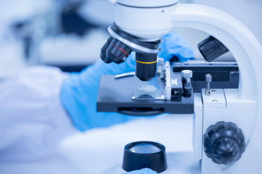 Scientist looking through a microscope in a laboratory