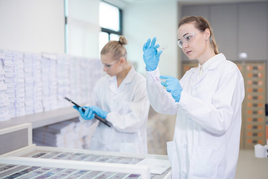 Caucasian scientist looking at the microscope slide