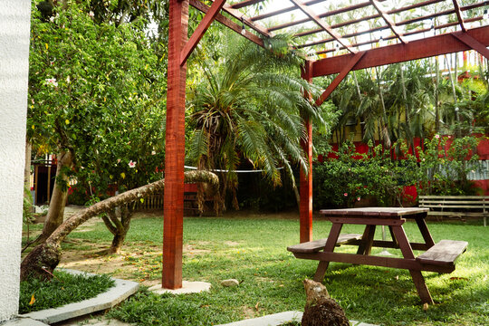 Garden patio area with wooden table and lush vegetation