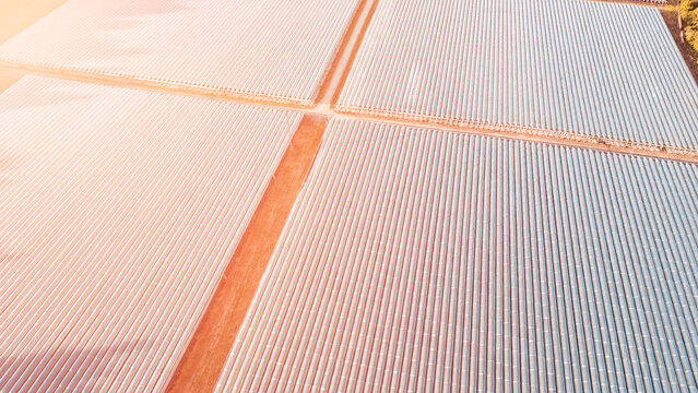 Plastic-covered polytunnels in farmland grid