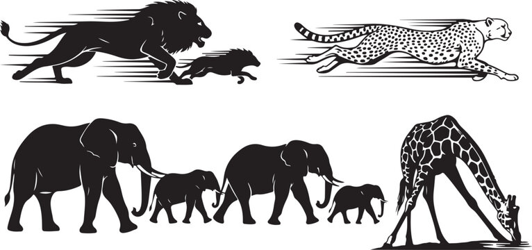 Black and white of prehistoric animals: pterodactyl, stegosaurus, triceratops, and tyrannosaurus rex
