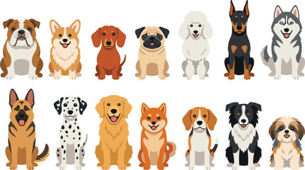 Vector cartoon collection of 12 different dog breeds in a sitting pose, isolated on white background © MDMizanur