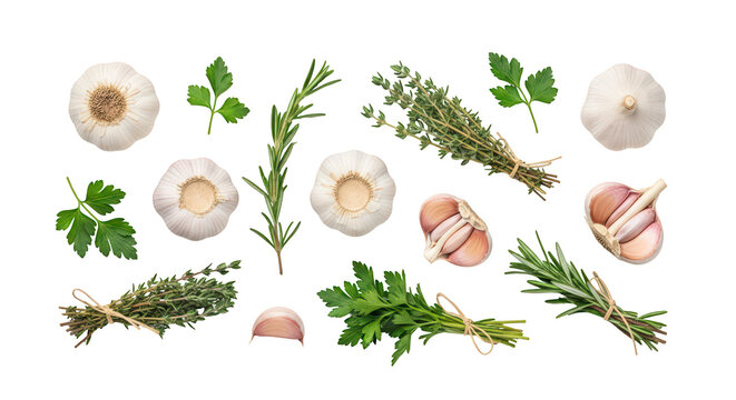Fresh Cooking Ingredients with Garlic and Herbs isolated on transparent background PNG