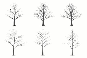Fototapeta premium Bare tree silhouettes six variations on a white background