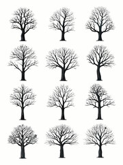 Obraz premium Bare tree silhouettes collection on a white background