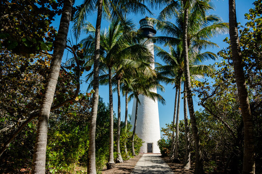 Bill Baggs Cape Florida Light At Key Biscayne Lighthouse Surrounded By Palm Trees And Lush Florida Foliage