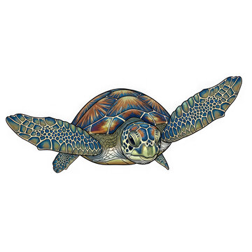 A colorful turtle swimming in the ocean isolated on transparent background, PNG