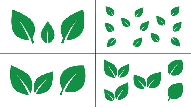 Green leaf icons set simple botanical shapes vector collection eco nature elements isolated flat design