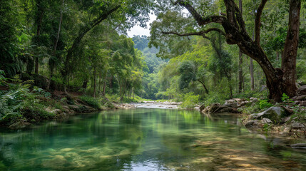 Obraz premium Serene river flowing through a lush green forest with trees reflecting in the clear water surface