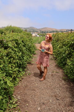 girl picking berries