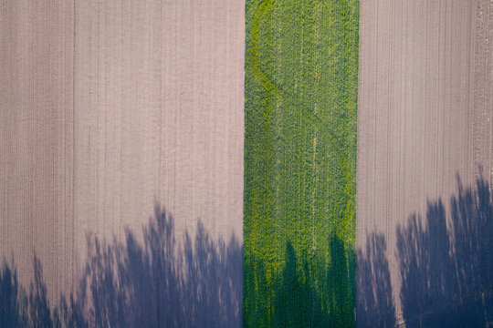 Rural area of wheat and plowed fields. Aerial view.