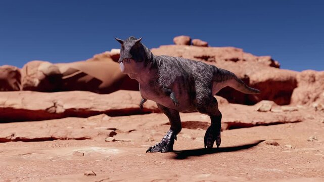 Cinematic 3D animation of a Carnotaurus dinosaur walking and roaring in a prehistoric landscape. Realistic predator in a desert environment. High-quality scientific CG
