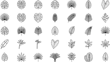 Set of tropical leaf icons in minimal line art style for creative design projects and web elements © MdTofazzal