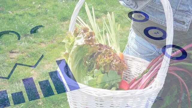 Woman carrying white basket on grass, farm graphs appearing lower-left and overlaying harvest data