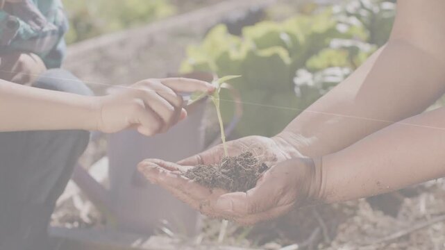 Adult cupping seedling child reaching, touching leaf in garden while motion lines showing gardening