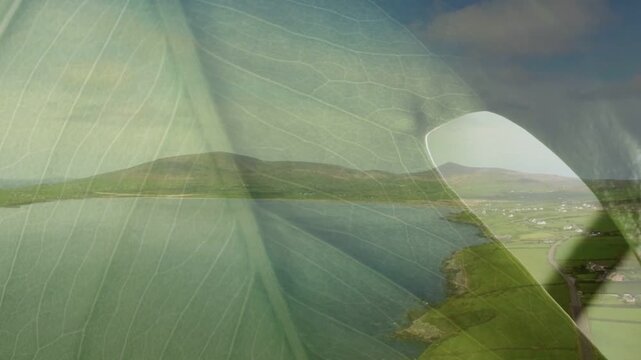 Large green leaf overlaying coastal view, window shifting and clouds revealing shoreline details