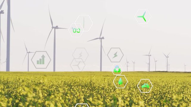 Wind turbines and canola field animating as hex icons enter frame, showing renewable energy links