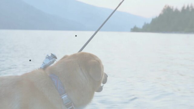 Tan dog yawning and starting panting, turning head and watching shore while boat gliding