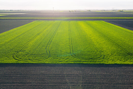Rural area of wheat and plowed fields. Aerial view.