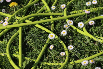 Coiled bright lime green garden hose on a green lawn with white daisies and yellow dandelion © kazakovmaksim