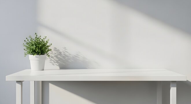 A small green plant in a white pot on a white table against a gray wall with shadows.