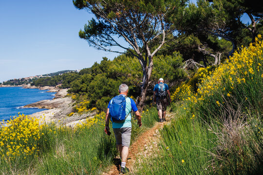 Hikers walking on trekking trail along sea and flowers leading to Ulcinj town in Montenegro. Summer adventure and active vacation