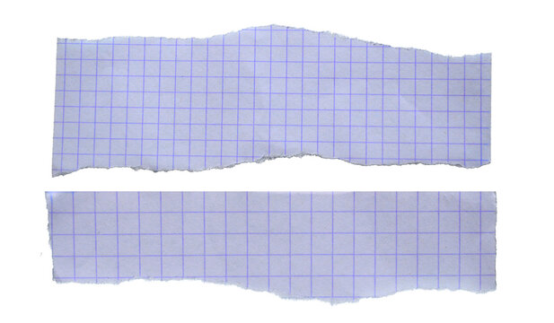 Torn graph paper strips isolated on transparent background, Ripped notebook grid sheet edges scrap with rough texture, realistic torn sheet pieces for collage, reminders, note design elements, PNG