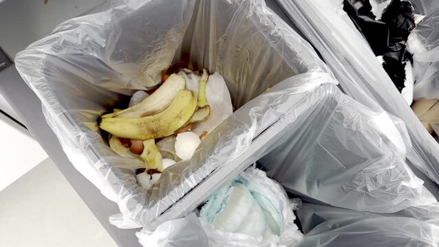 Waste disposal process showing three trash bins filled with food scraps, plastic waste, and paper, highlighting the importance of proper waste separation in a clean environment