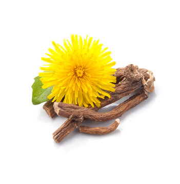 Dandelion root on white backgrounds.