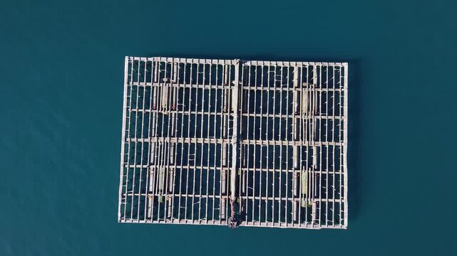 Mussel rafts floating in a vast blue seascape for aquaculture in galicia, spain
