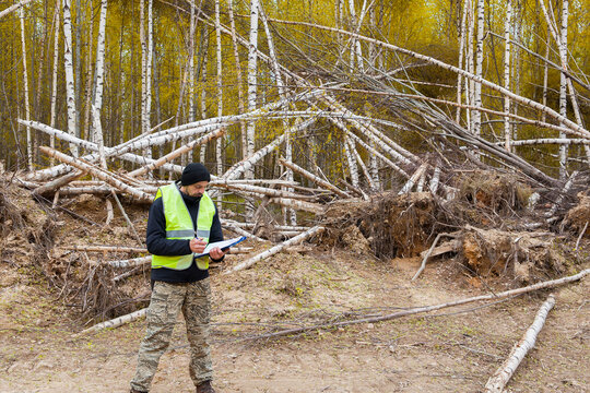 A conservation inspector points to ruined trees.