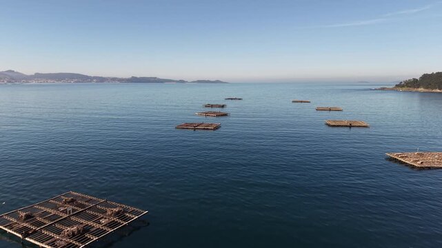 Mussel aquaculture rafts floating in ria pontevedra, galicia