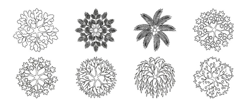 Trees Top View Vector Icons Set, Architectural Landscape Design Plan Elements for Site Map, Minimalist Black and White Outline Collection of Different Plant Species, Botanical Illustrations for Archit