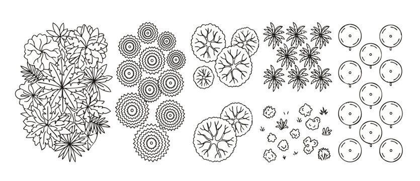 Trees Top View Vector Set for Landscape Architecture Design Plans and Site Mapping Layouts, Collection of Architectural Plants and Garden Foliage Symbols for Professional Urban Planning and Exterior S