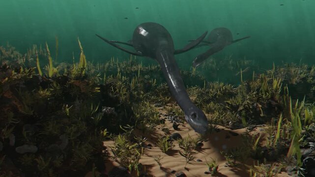 4k 3d animation of long-necked Plesiosaurs glide over a sunlit prehistoric seabed teeming with lush vegetation and ancient marine life, perfect for YouTube channels, documentaries, and educa