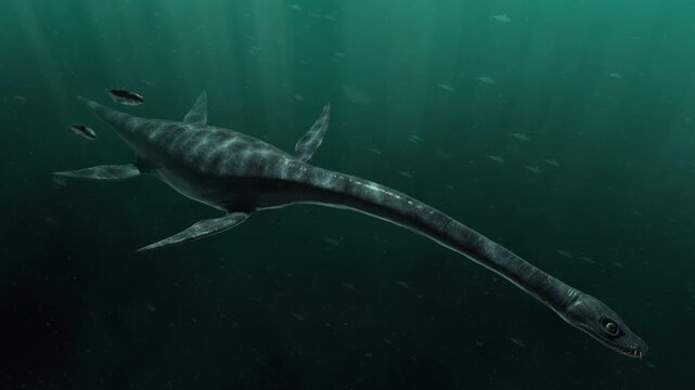 4k 3d animation of Elasmosaurus glides through the deep turquoise depths of a prehistoric ocean, its sharp teeth bared in the emerald abyss